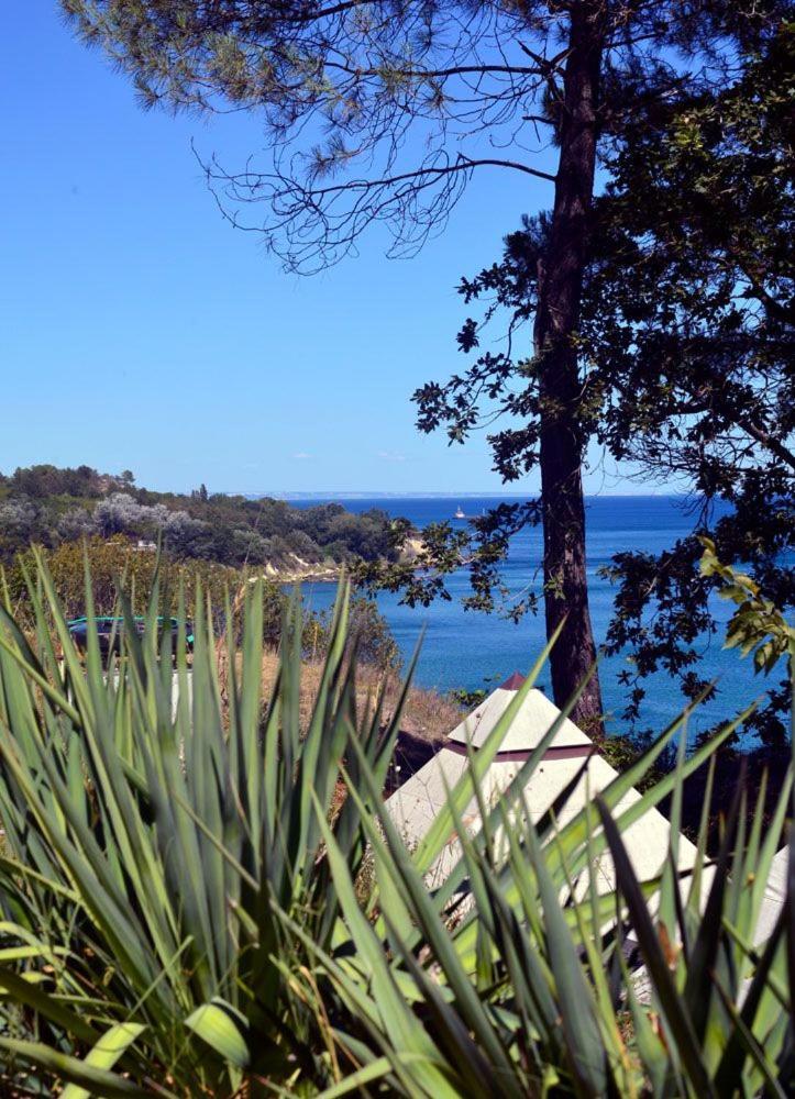 Ecoclub Campsite Varna