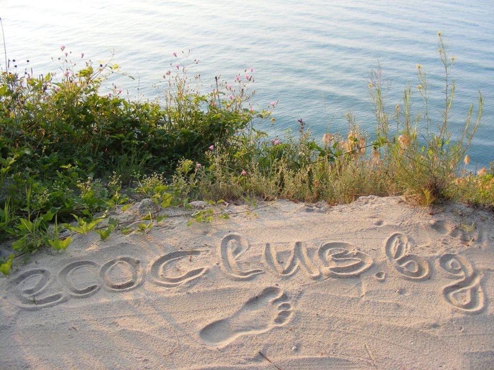 Ecoclub *